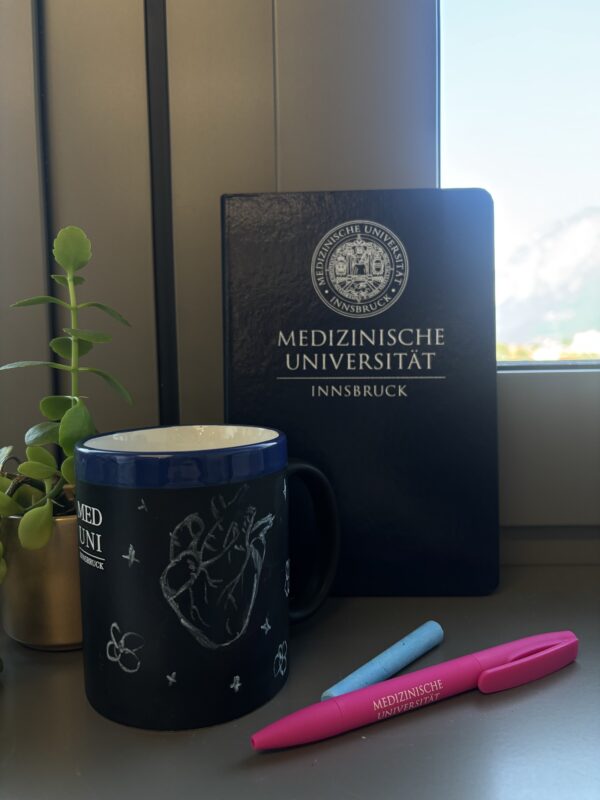 Study Kit – Bild 2